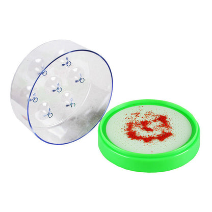 Eco-friendly fly trap — Free your home from unwanted insects! 🛑
