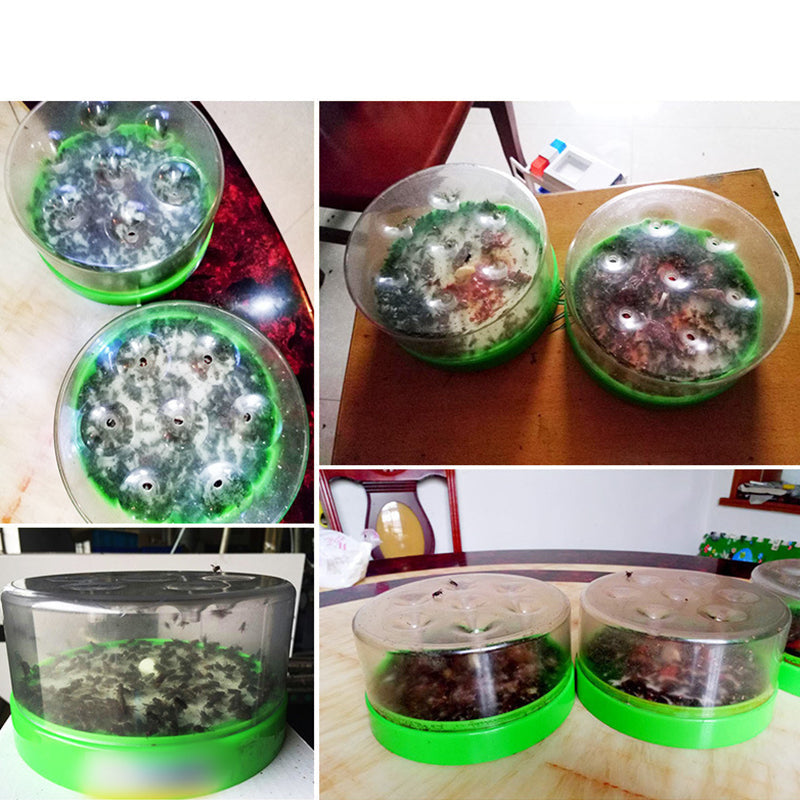 Eco-friendly fly trap — Free your home from unwanted insects! 🛑